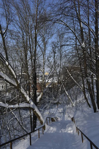 Parque Cidade Nevou Inverno — Fotografia de Stock