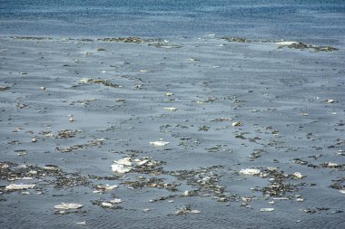 İlkbaharda Volga Nehri 'nde buz yüzer.