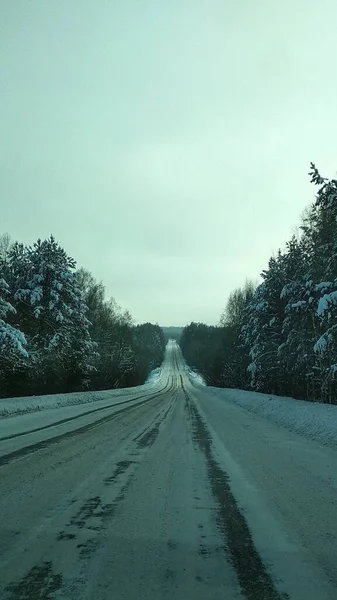 Road Winter Forest — Stock Photo, Image