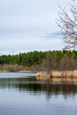 Yazın gölün güzel kıyıları