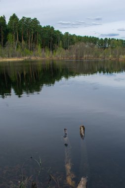Yazın güzel ormancı gölü.