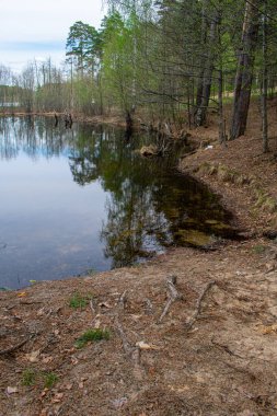 Yazın gölün güzel kıyıları
