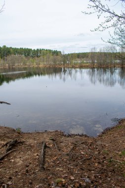 Yazın gölün güzel kıyıları