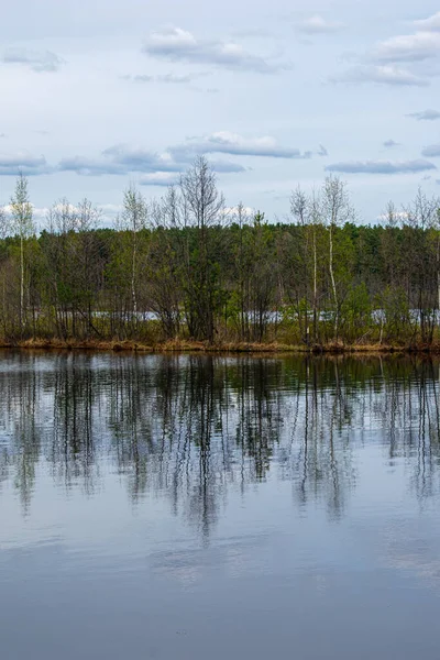 Magnifique Bord Lac Forestier Été — Photo