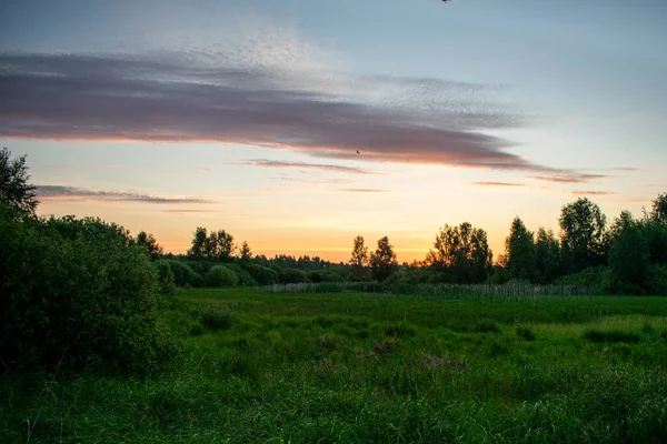 Suave Belo Nascer Sol Campo Verão — Fotografia de Stock