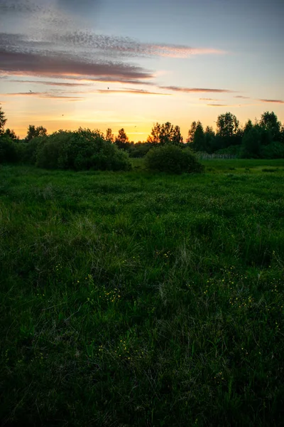 Suave Belo Nascer Sol Campo Verão — Fotografia de Stock