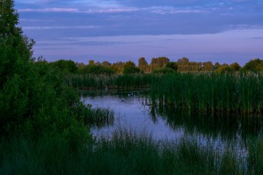 Yazın gölün üzerinde gün doğumu