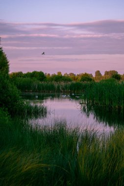 Yazın gölün üzerinde gün doğumu