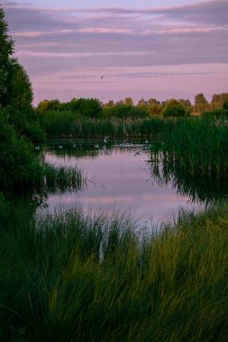 Yazın gölün üzerinde gün doğumu