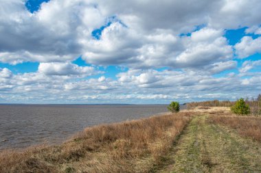 Yazın güzel volga nehir kenarı