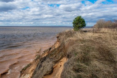 Yazın güzel volga nehir kenarı