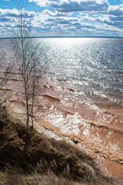 Yazın güzel volga nehir kenarı