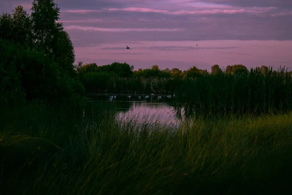 Мягкий Восход Солнца Над Озером Летом — стоковое фото