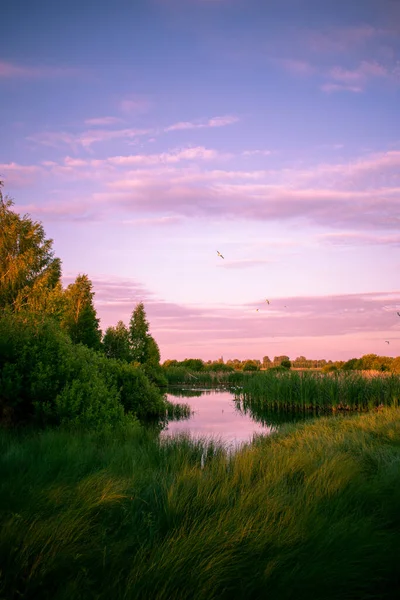 Suave Amanecer Sobre Lago Verano — Foto de Stock