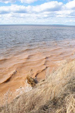 Yazın güzel volga nehir kenarı