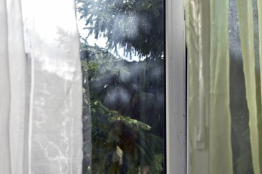 Dairenin penceresinde renkli perdeler