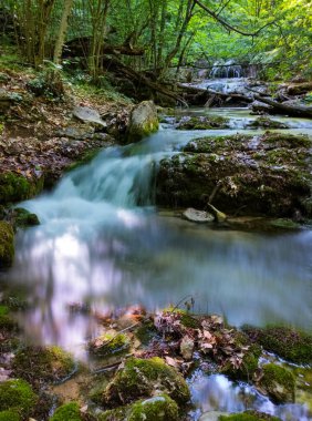 dağ orman içinde güzel şelale