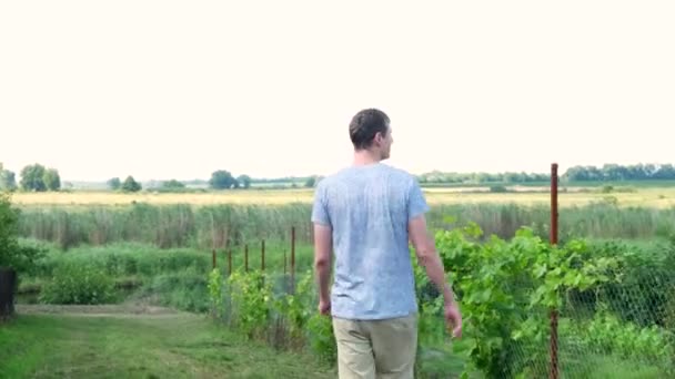 在一个炎热的夏天，从后面看到一个年轻人走过一个用葡萄编织的篱笆，穿过他的农场，回头看，4k — 图库视频影像