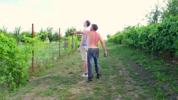 Вид со спины отца и взрослого сына, идущего вдоль забора с виноградом на своей ферме — стоковое видео