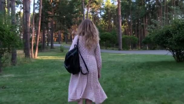 Rückansicht einer Frau mit schwarzem Rucksack, die bei Sonnenuntergang auf dem Rasen entlang hoher Kiefern im Park spaziert, Frau trägt langes rosa Kleid — Stockvideo