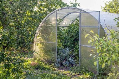 Bahçenin ortasında açık kapısı olan bir sera.