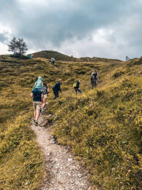 Yürüyüş. Bir yaz günü bir grup turist dağ yoluna tırmanıyor. Dikey çekim. Avusturya, Zillertal Vadisi, 20 Temmuz 2018