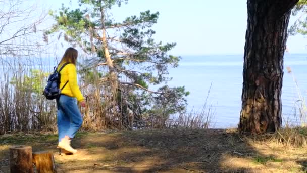 Kvinnlig turist med ryggsäck är engagerad i vandring i skogen på stranden av en stor sjö eller flod. Den närmar sig kanten av dammen och sträcker sig njuter av den natursköna utsikten på soliga vårdagen. 4k — Stockvideo