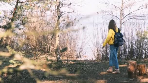 En turist som går i skogen bakifrån. Hon går fram till älvstranden, sträcker upp händerna och njuter av den pittoreska utsikten. Kvinna bär jeans och ljust gul jacka, 4k — Stockvideo