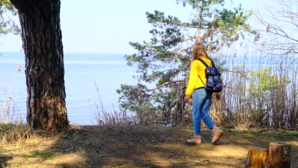 Kvinnlig turist med ryggsäck är engagerad i vandring i skogen på stranden av en stor sjö eller flod. Hon går till kanten av dammen och njuter av den vackra utsikten en solig vårdag. 4k, slow motion — Stockvideo