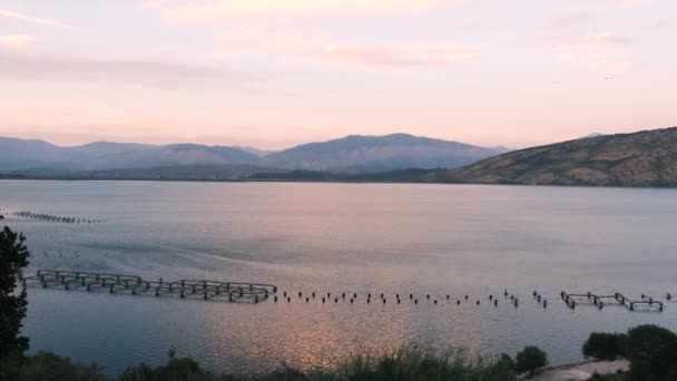 Bella vista panoramica di un allevamento di ostriche o mitili in un lago al tramonto tra colline albanesi e montagne. Coltivazione di frutti di mare — Video Stock