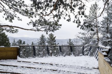 Ulusal parktaki gözlem güvertesinde karla kaplı orman manzarası var.
