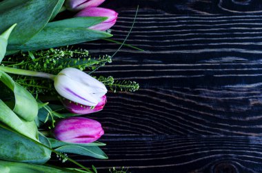 Pembe ve beyaz lalelerden oluşan düz çiçek aranjmanı. Koyu ahşap arka plan kopi uzayında yeşil yapraklı.