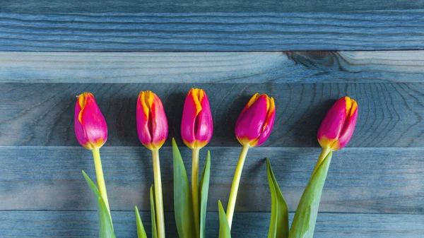 Arreglo Flores Planas Tulipanes Rojos Amarillos Con Hojas Verdes Sobre —  Fotos de Stock