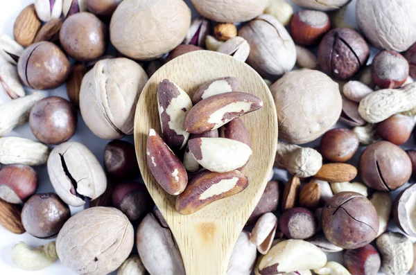 Brazil nut in a wooden spoon on the background of a scattering of different nuts assorted nuts