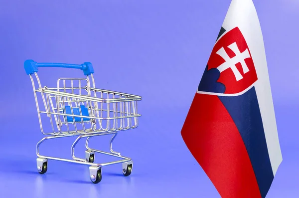 Cesta Compras Metal Vacía Bandera Eslovaquia Concepto Cesta Consumo Fondo —  Fotos de Stock