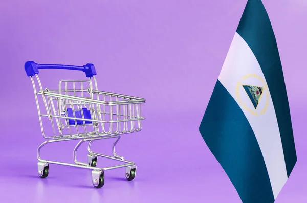 Cesta Compras Metal Vacía Bandera Nicaragua Sobre Fondo Color Concepto — Foto de Stock