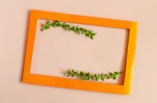 A colored frame decorated with green branches with catkins on a light background of the mine space. Flat Ley bright orange frame and decor