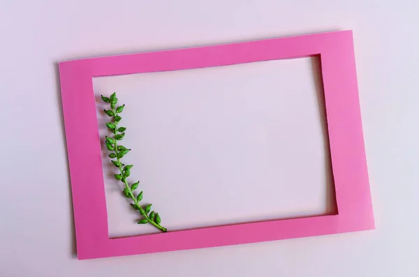 Colored Frame Decorated Green Branch Colored Background Copy Space Flat — Stock Photo, Image