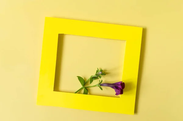 A colored frame decorated with a branch with red flowers on a colored background of the copy space. Flat ley bright yellow frame on a yellow background