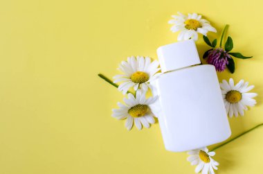 Papatya ve yonca kır çiçekleri ve renkli arka planda beyaz bir şişe. Sarı arka planda çiçekler ve kozmetikler metin için bir yer