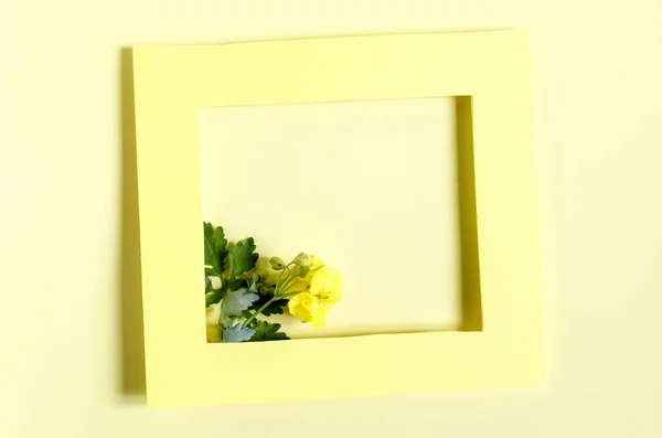 Yellow Paper Frame Decorated Yellow Flowers Colored Background Flat Bright — Stock Photo, Image