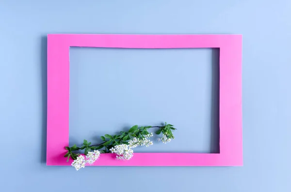 Pink Frame Decorated Bright White Flowers Green Leaves Light Background — Stock Photo, Image