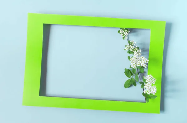 Green Frame Decorated Bright White Flowers Light Background Mine Space — Stock Photo, Image