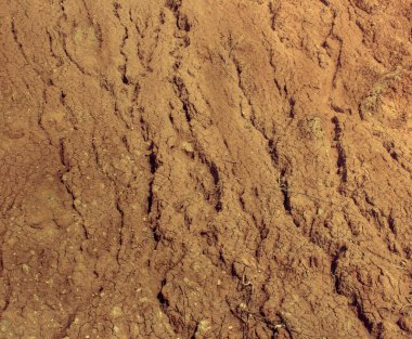 Derin çatlakları olan bir kil yamacına yakın çekim. Doğal doku ve arkaplan.