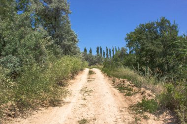 Boş bir toprak yol yukarı çıkıyor. Uzakta bulutsuz mavi gökyüzü. Yol boyunca yeşil ağaçlar ve çalılar.