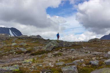 Besseggen, Norveç Ağustos 2018. Bir dağ sırtında duran genç bir adamın arka görüntüsü. Doğanın görkemli güzelliğinden gelen mutluluk ve neşe kavramı. Besseggen yürüyüşünden bir görüntü