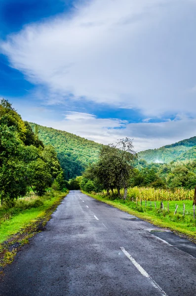 The green mountains — Stock Photo, Image