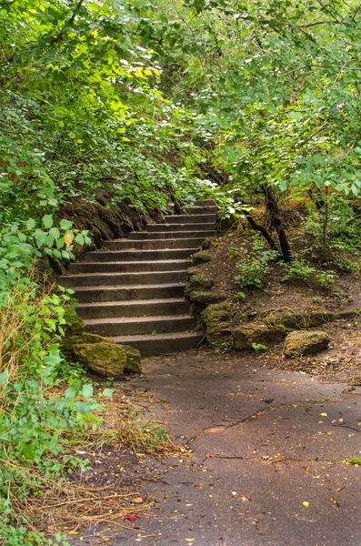 Un camino con escaleras en el bosque — Foto de Stock