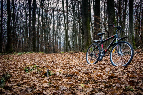 Sonbahar ormandaki siyah dağ bisikleti