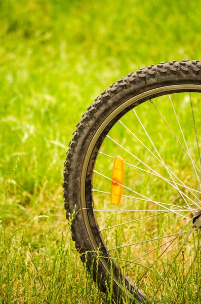 bir arka plan üzerinde bisiklet tekerleği